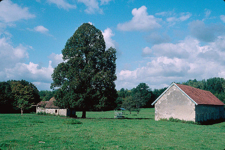 Bâtiment d'habitation et four vus du nord.