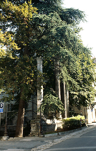 Vue depuis la rue de la Convention