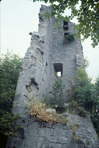 Tour Saint-Denis : vue depuis l'ouest