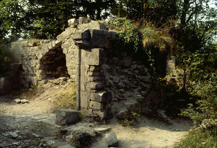 Logis près de la Tour Saint-Denis : cheminée