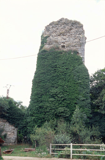 Porte et tour : élévation sud-ouest