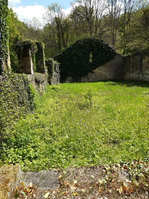 vue partielle des ruines