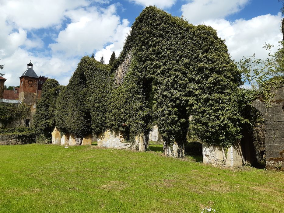 vue partielle des ruines