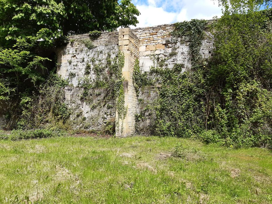 vue partielle des ruines