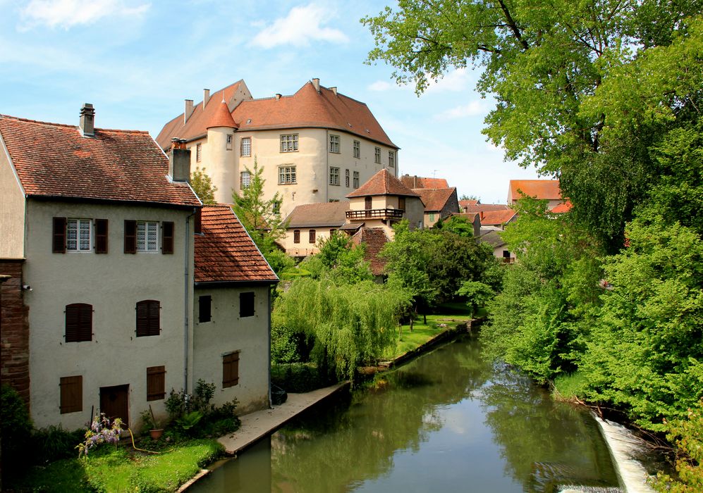 vue générale du château dans son environnement depuis le Sud