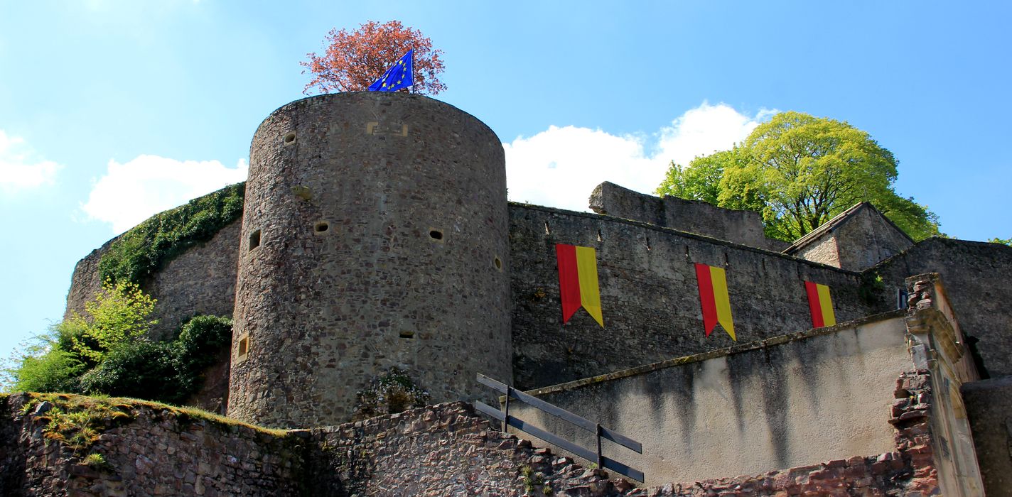 Ruines du château des ducs de Lorraine et des fortifications