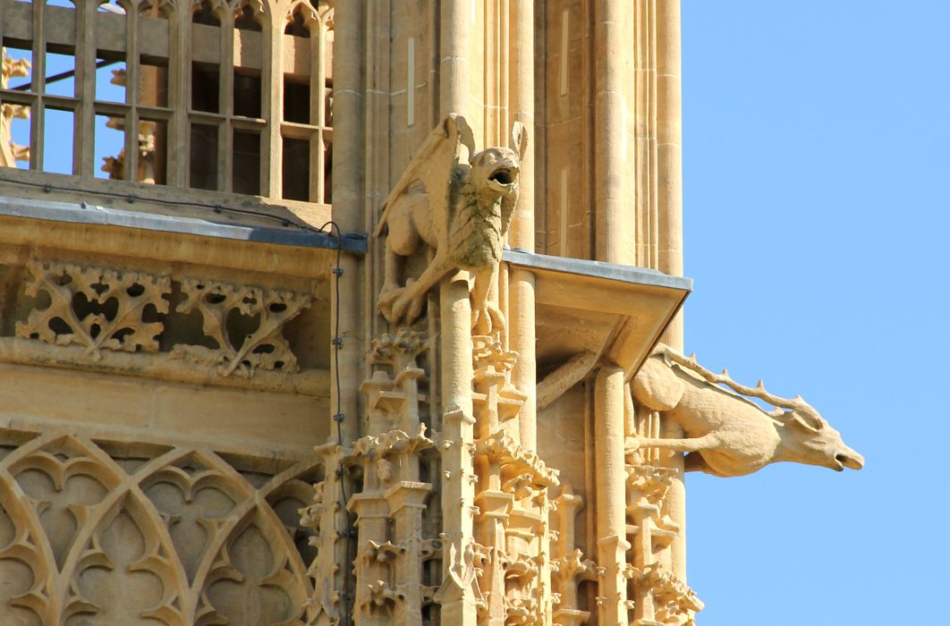 détail de deux gargouilles non localisées