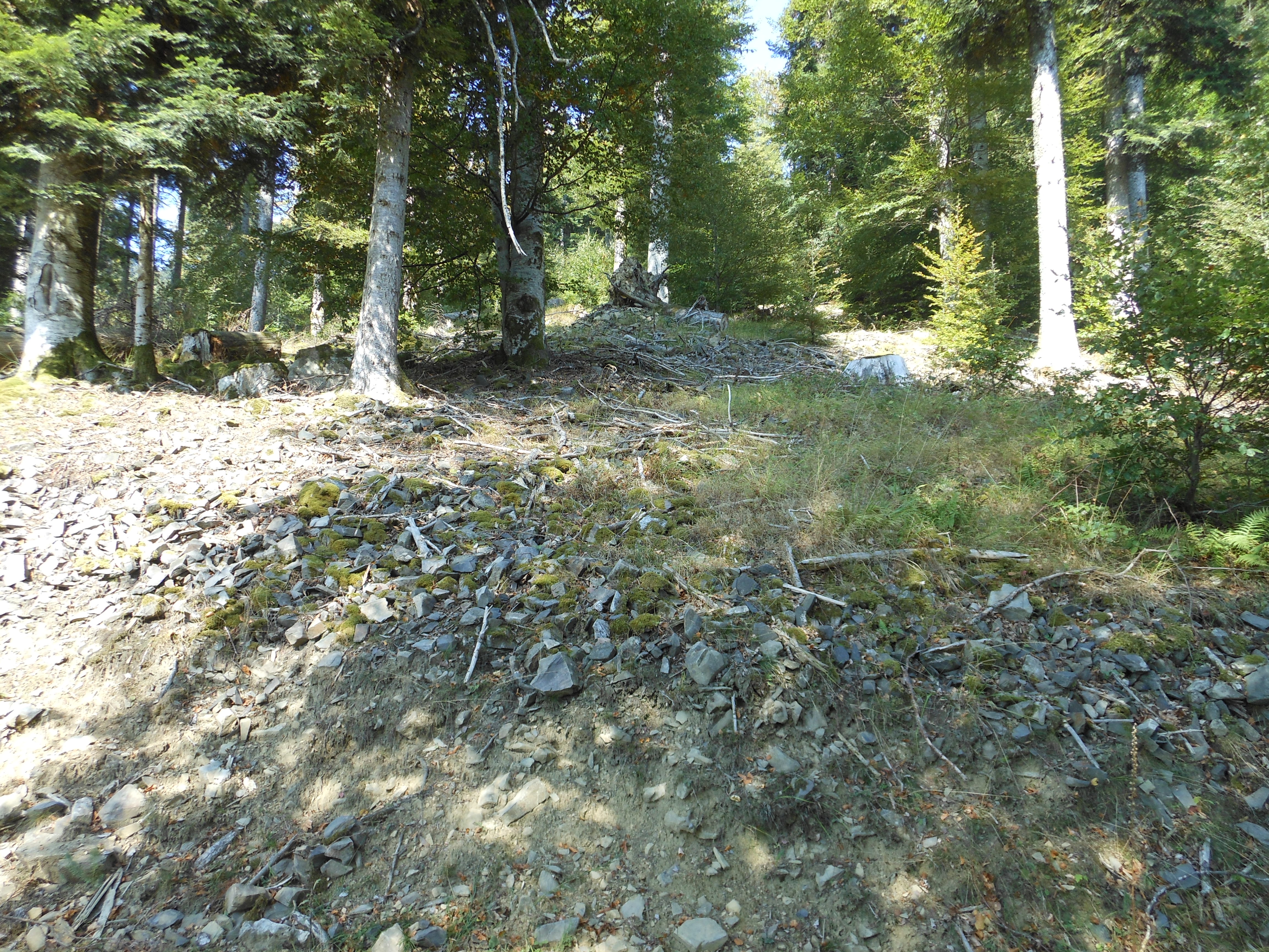 Minière principale, recoupée par un chemin forestier