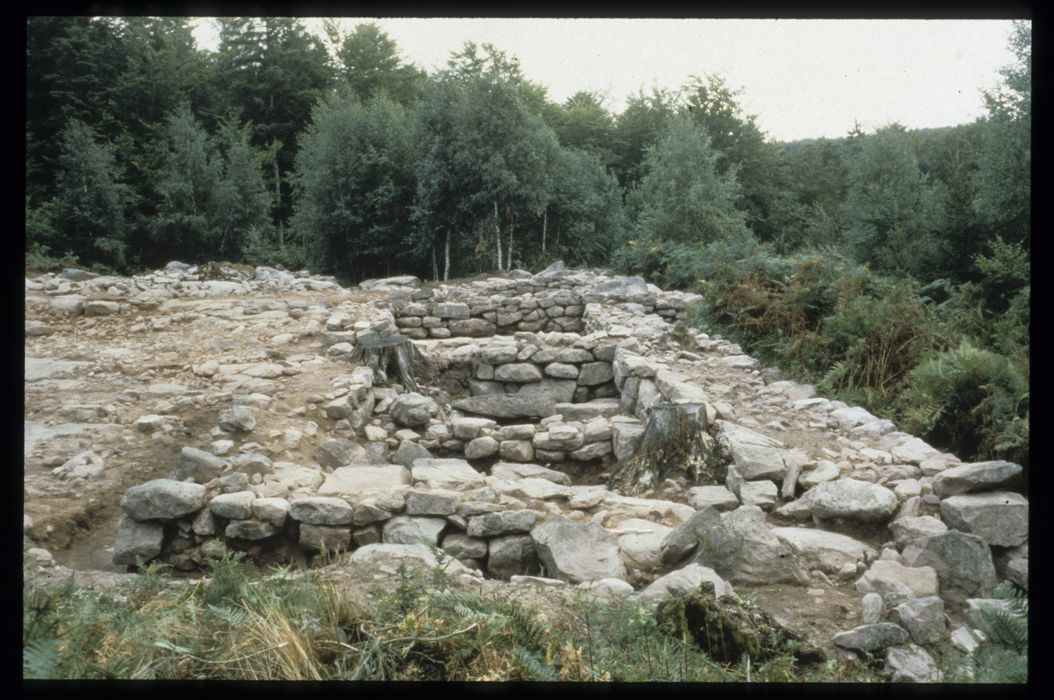 vue partielle du site