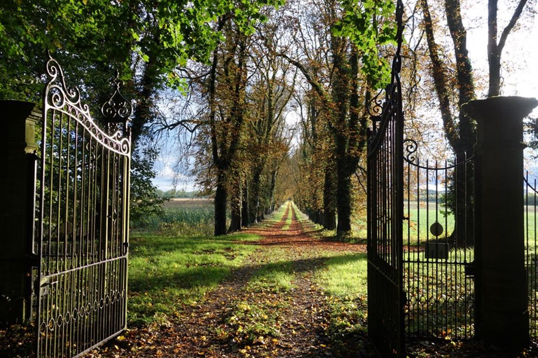 vue générale de l’allée depuis l’Est en direction de l’Ouest