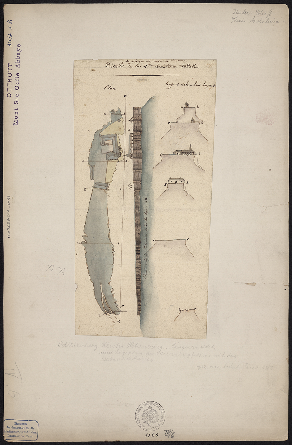 Plan d’ensemble, élévation et coupes.