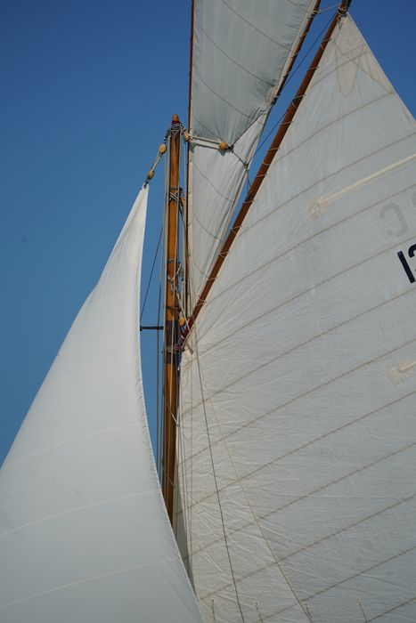 bateau de plaisance (sloop) : Le Lady Trix