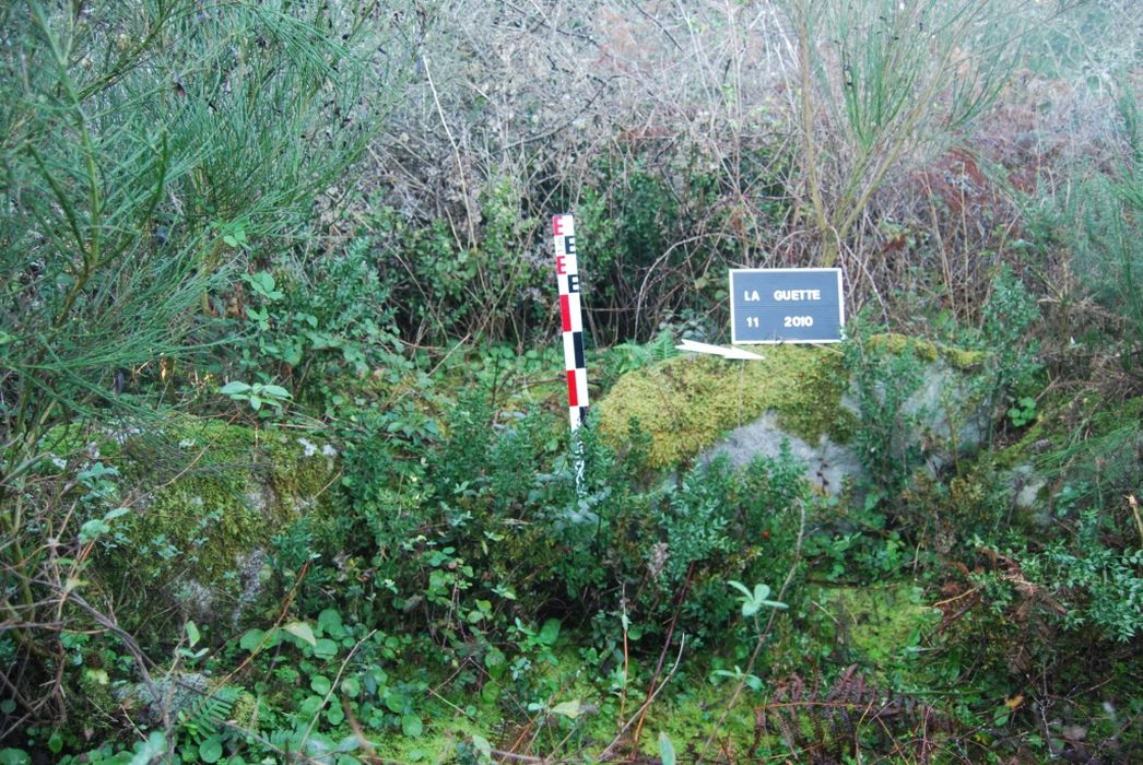 vue partielle du dolmen
