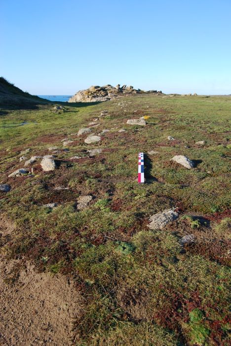 vue partielle du site