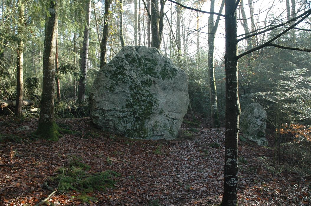 Ensemble mégalithique situé dans le parc du château du Brossay