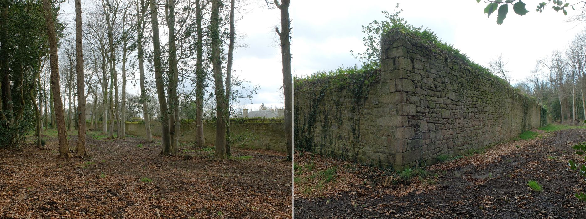 vue partielle de plusieurs aspects du parc ou du jardin