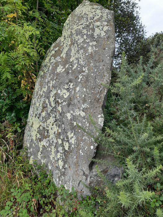 vue générale du menhir