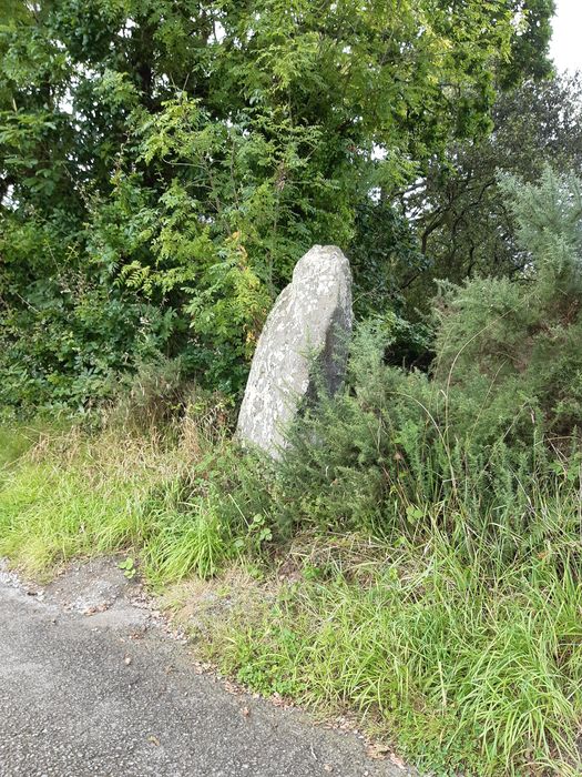 vue partielle du menhir dans son environnement