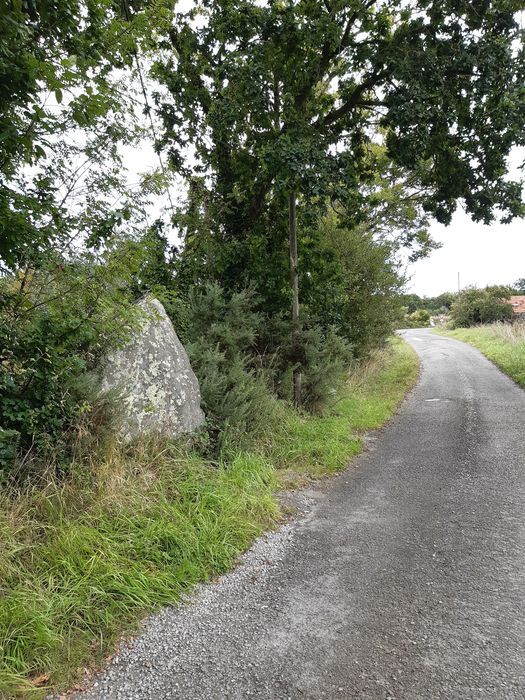 vue partielle du menhir dans son environnement