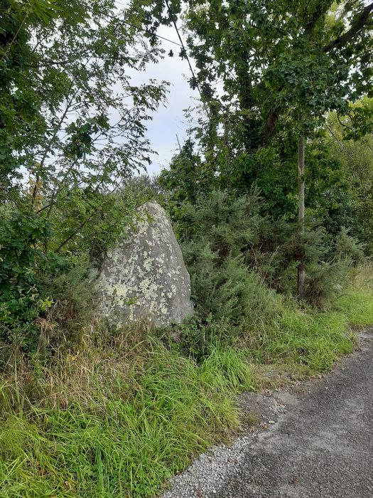 vue générale du menhir