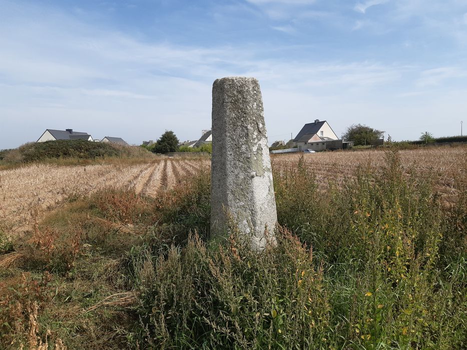 Vue générale de la stèle