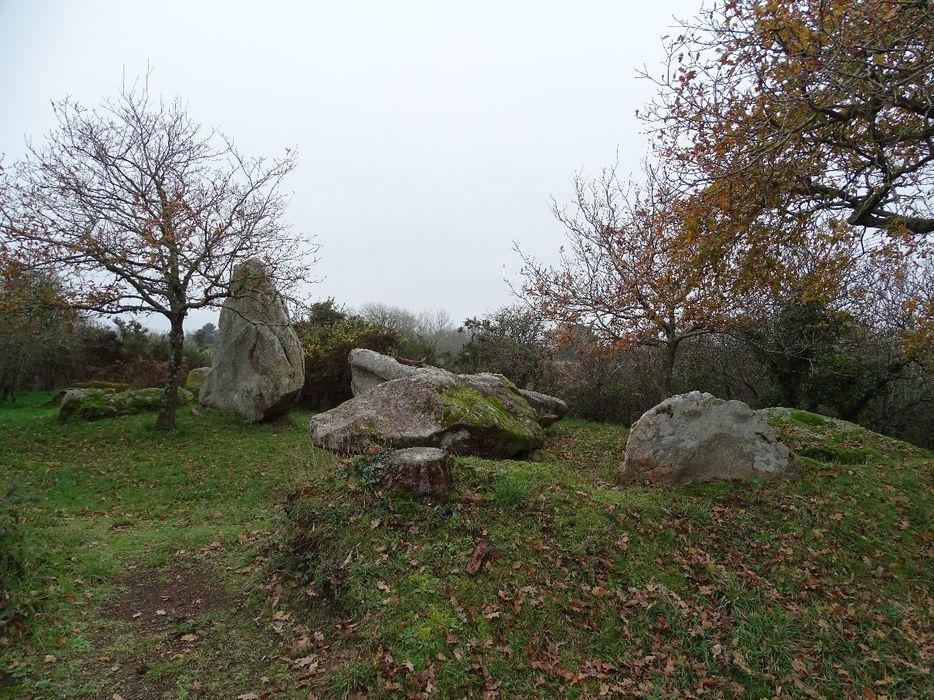 vue générale des mégalithes