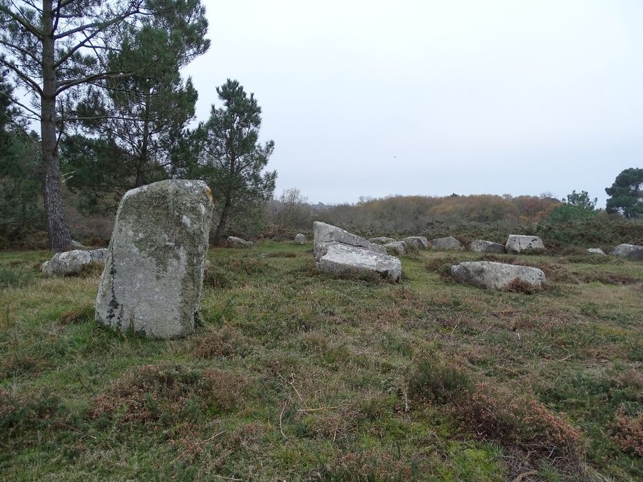 vue générale des mégalithes dans leur environnement