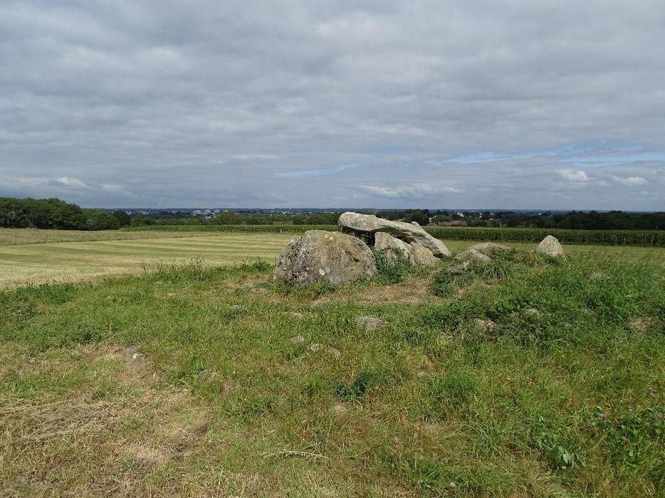 vue générale du mégalithe dans son environnement