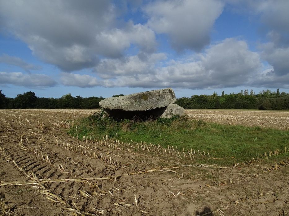 vue générale du mégalithe dans son environnement