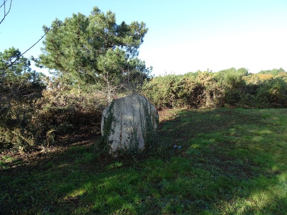 vue générale du mégalithe