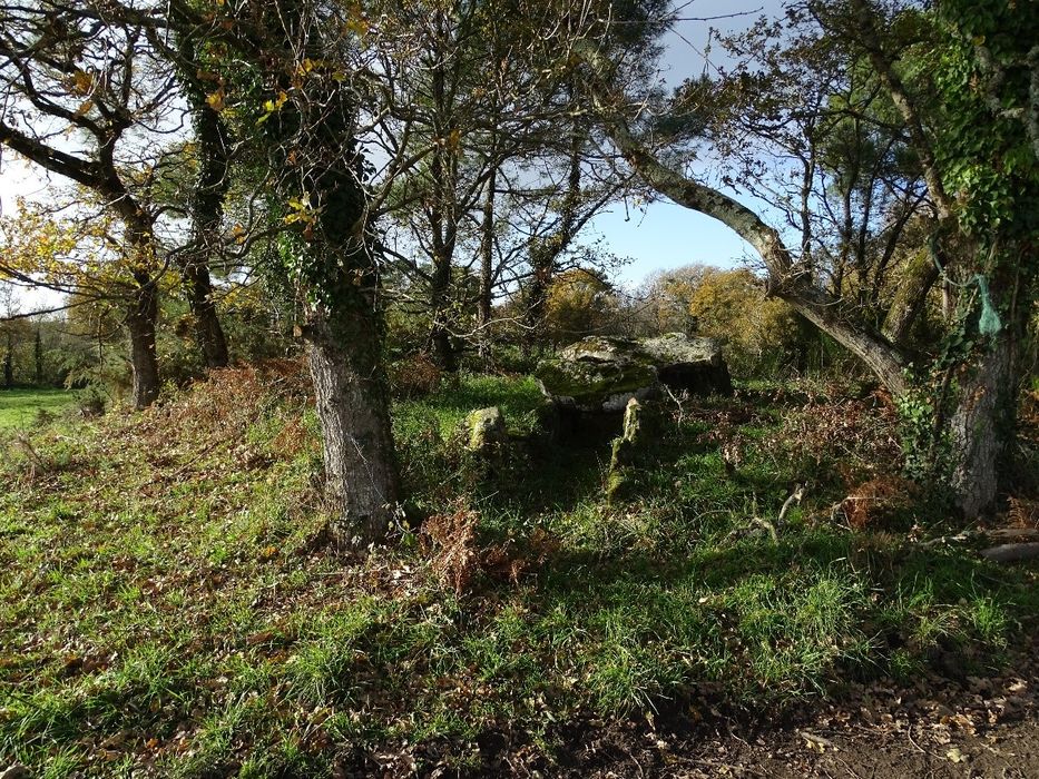 vue partielle du mégalithe dans son environnement