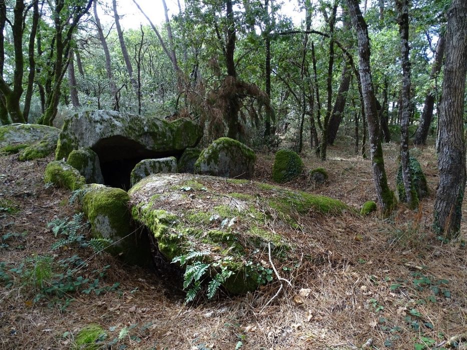 vue générale du mégalithe