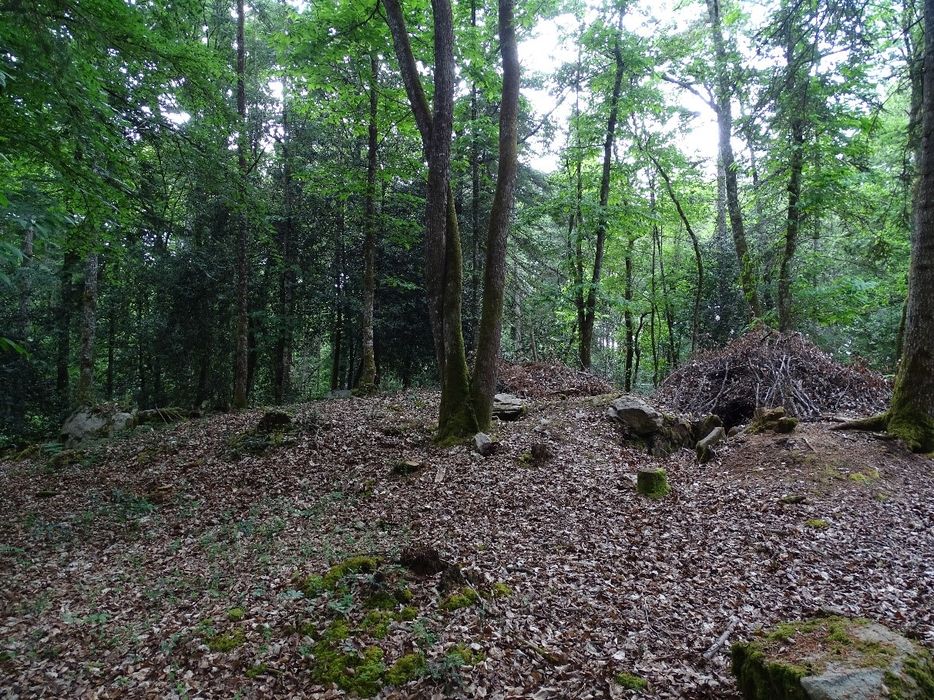 vue partielle des mégalithes dans leur environnement