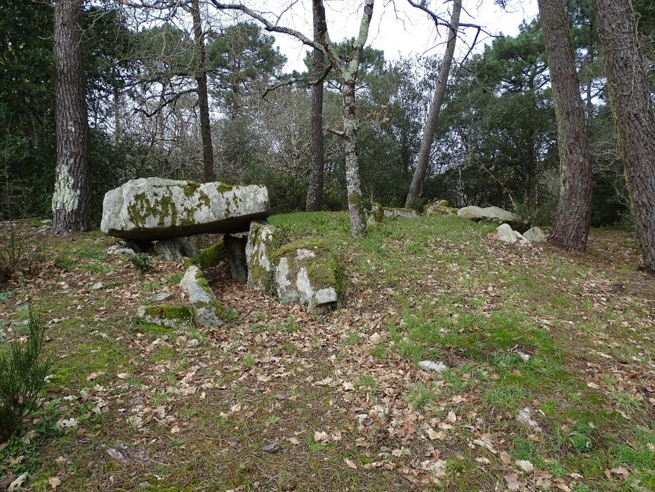 vue générale du mégalithe dans son environnement