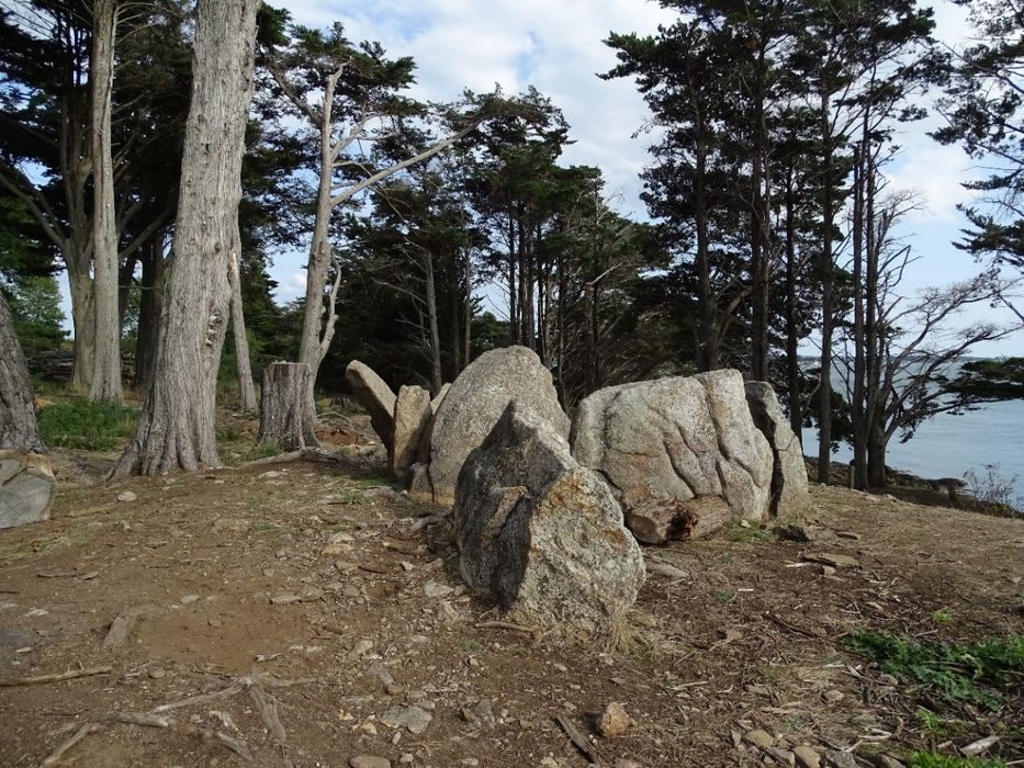 vue partielle des mégalithes dans leur environnement
