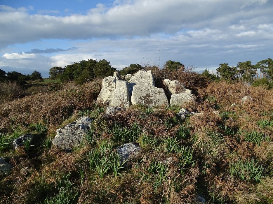 vue partielle des mégalithes dans leur environnement