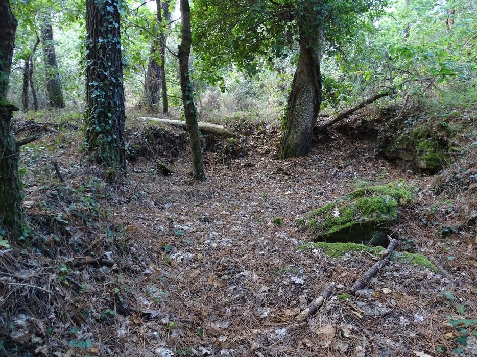vue partielle des mégalithes dans leur environnement