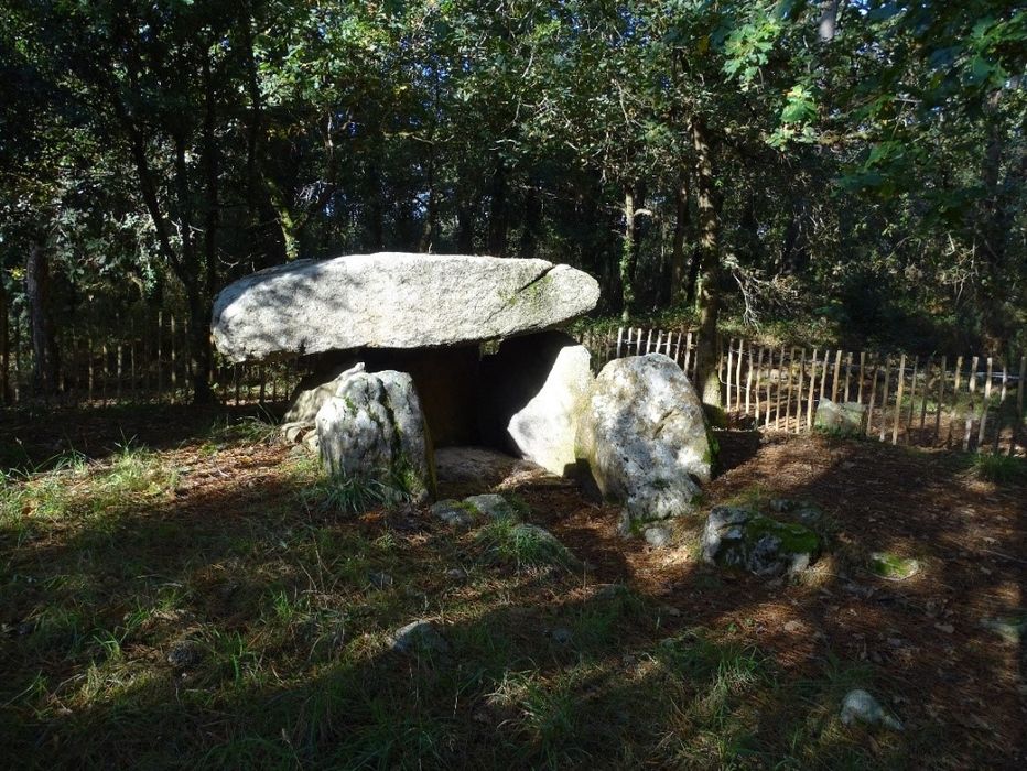vue partielle des mégalithes dans leur environnement