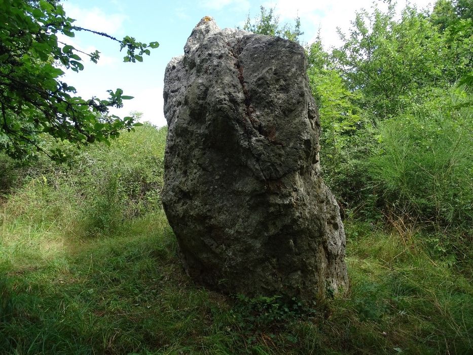 vue générale du mégalithe