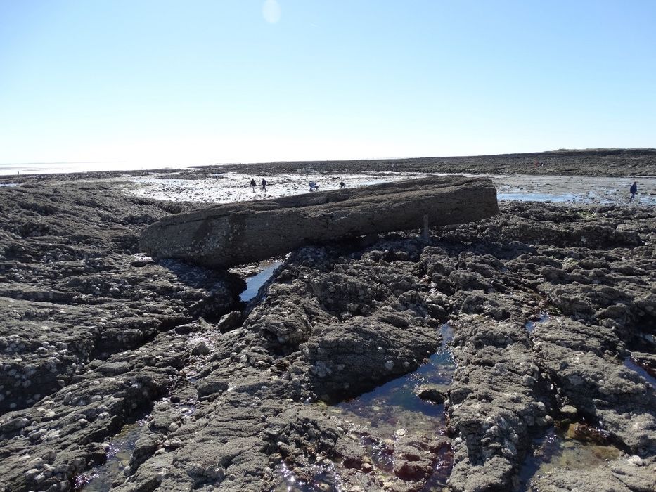 vue générale du mégalithe dans son environnement