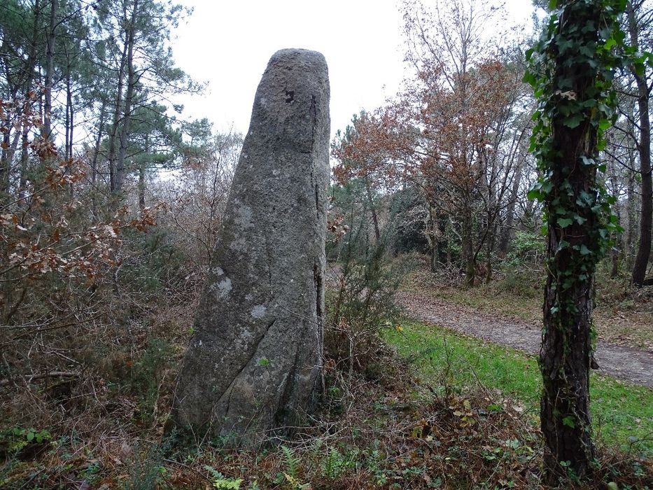 vue générale du mégalithe