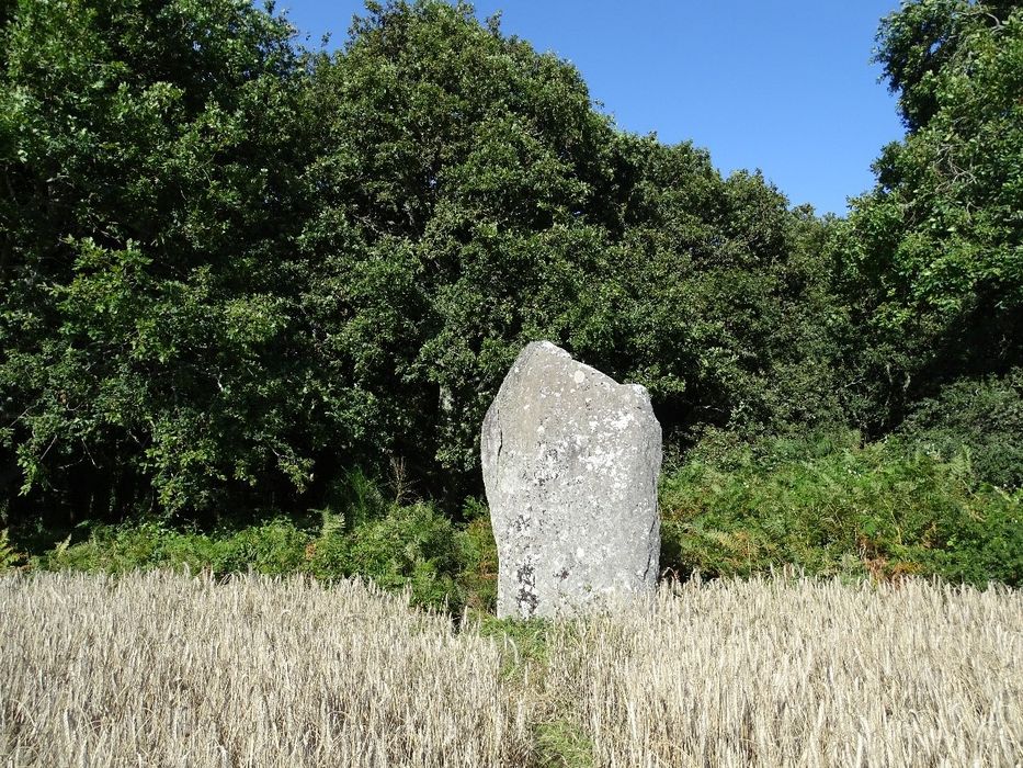 vue générale du mégalithe