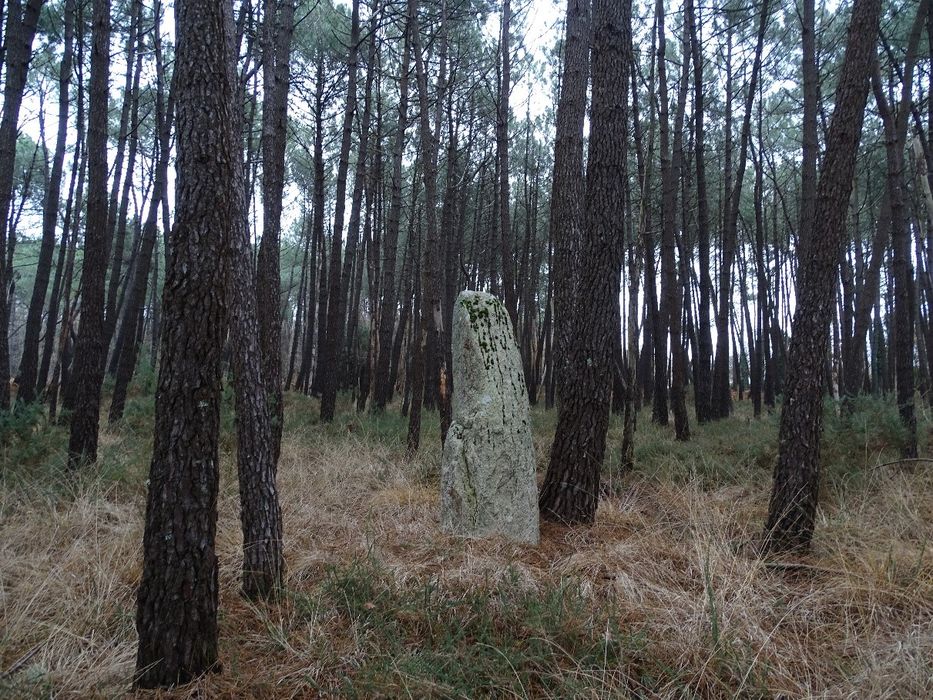 vue générale du mégalithe dans son environnement