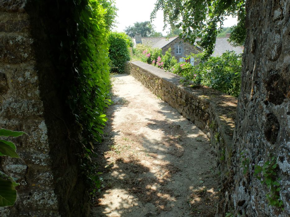 parcelle 544, partie supérieure de la courtine (à droite) et chemin de ronde