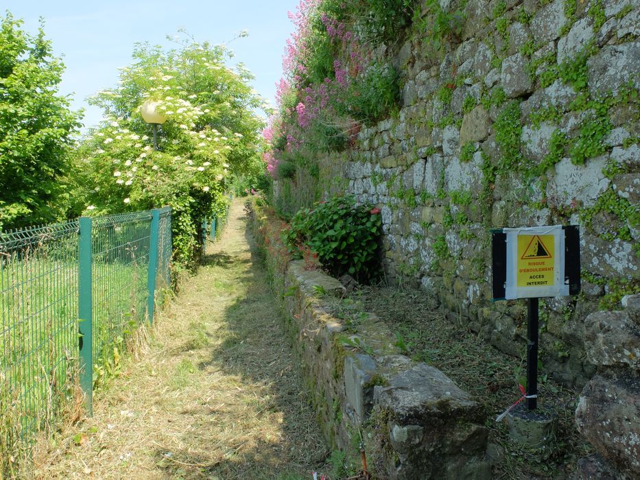 parcelles 77 et 80 (le muret marque la limite entre les deux parcelles), pied de courtine (103) 