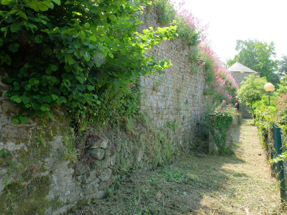 parcelles 77 et 80 (le muret marque la limite entre les deux parcelles), pied de courtine (103) 