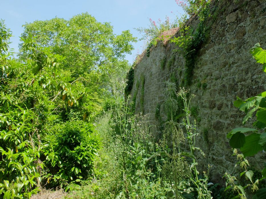 parcelles 735, 736 et 680, courtine (72, 741) 