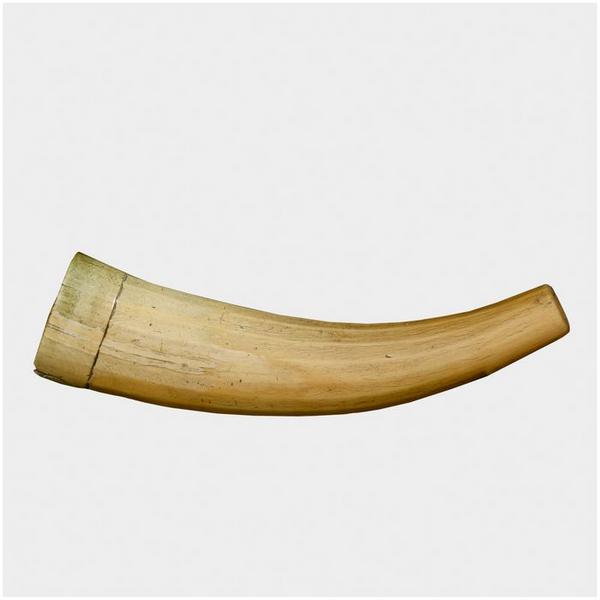 Corne (olifant) dite cor de saint Cerats, vue générale. corne (olifant) dite cor de saint Cerats, vue générale