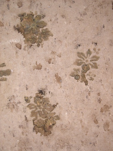 Détail des motifs floraux du fond.
