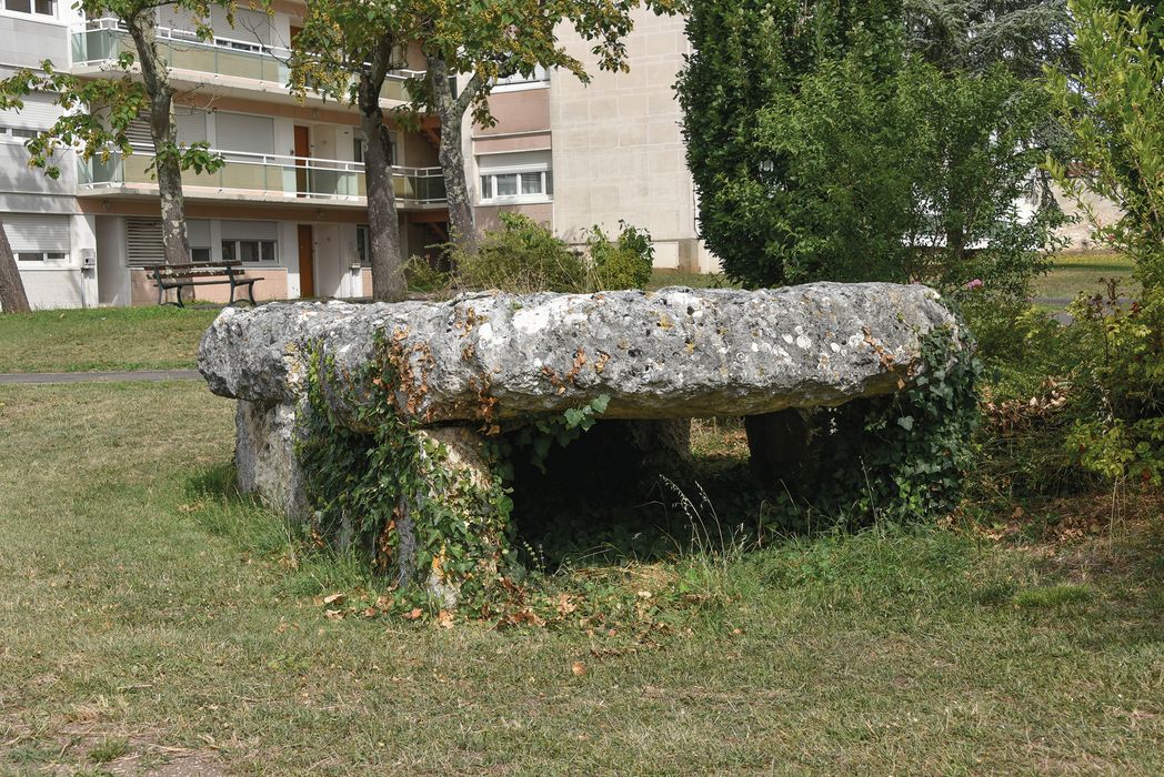 Dolmen de Séchebec : Vue générale